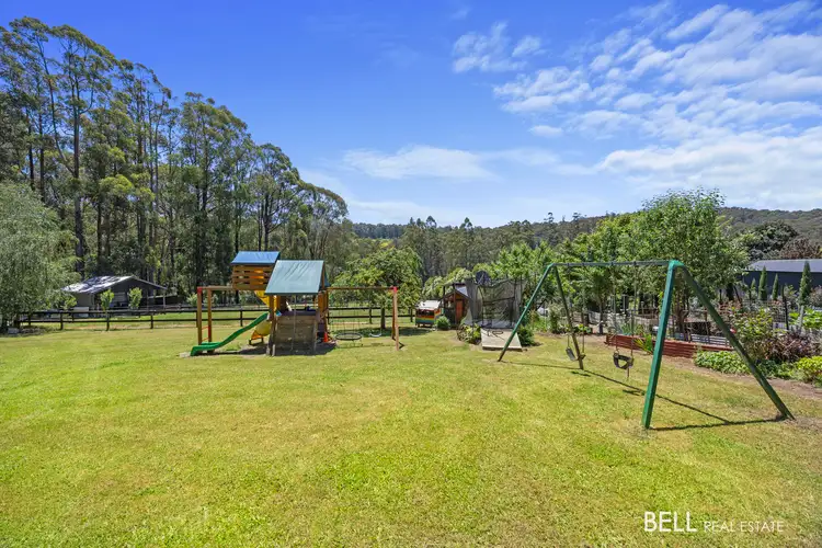 Fifth view of Homely house listing, 125 Beenak Road, Hoddles Creek VIC 3139