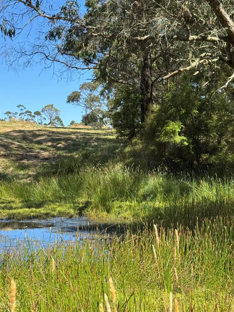 Fourth view of Homely rural property listing, 575 Deans Marsh Lorne Road, Deans Marsh VIC 3235