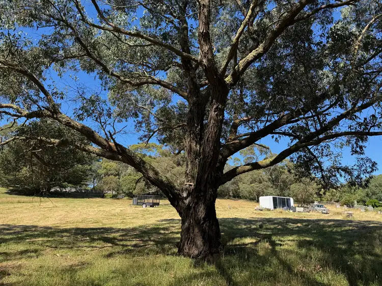 Sixth view of Homely rural property listing, 575 Deans Marsh Lorne Road, Deans Marsh VIC 3235