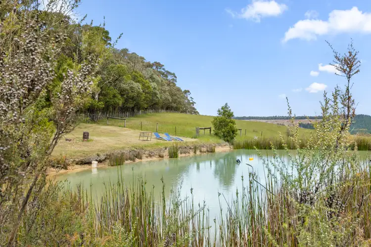 Third view of Homely rural property listing, 310 Bambra Aireys Inlet Road, Bambra VIC 3241
