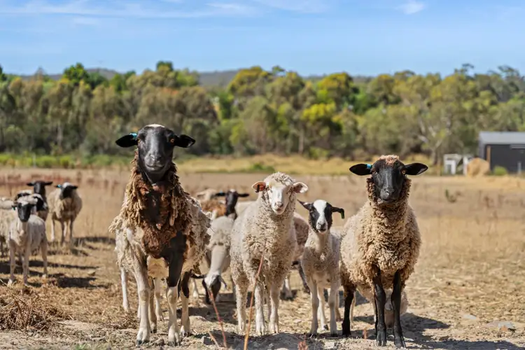 Third view of Homely land listing, 12 Happy Valley Road, Castlemaine VIC 3450