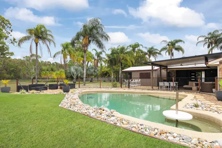 Main view of Homely house listing, 31 Greygum Court, Ningi QLD 4511