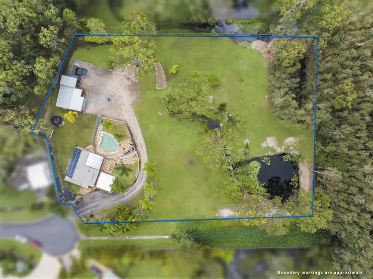 Second view of Homely house listing, 31 Greygum Court, Ningi QLD 4511
