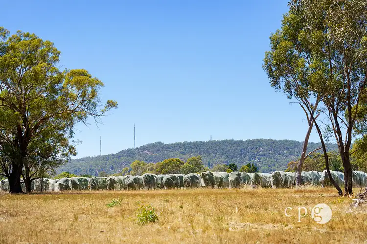 Third view of Homely land listing, 80 Mills Road, Harcourt VIC 3453