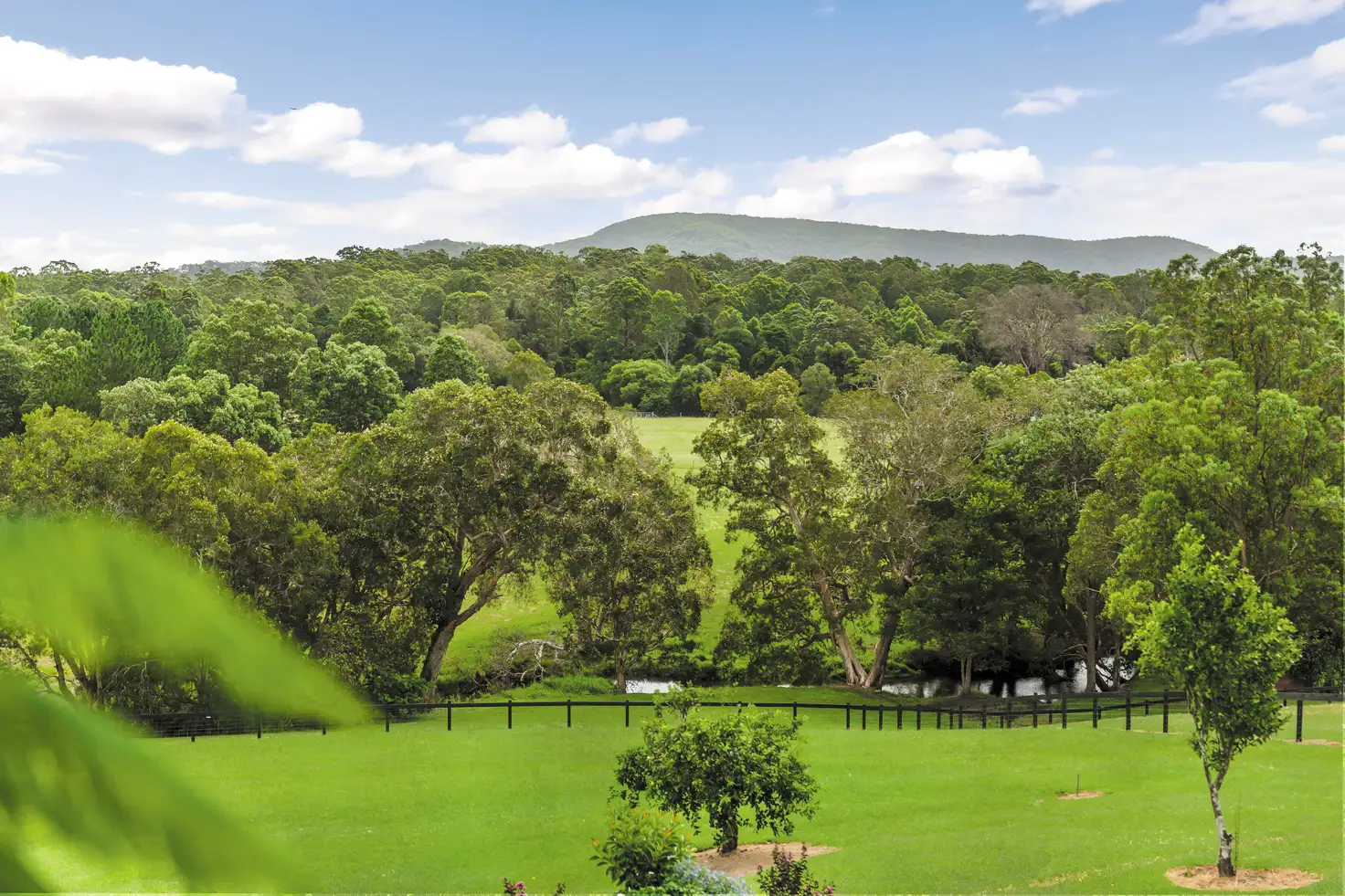 Main view of Homely rural property listing, 2080 D'Aguilar Highway, D'aguilar QLD 4514