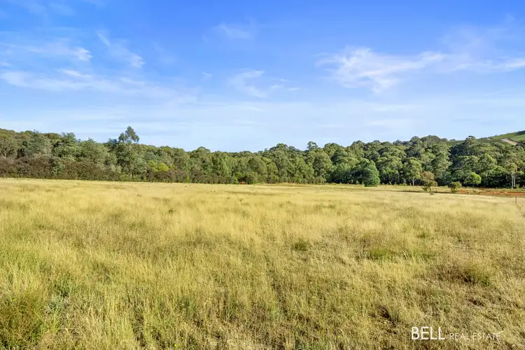 Fourth view of Homely house listing, 1555 Gembrook-Launching Place Road, Beenak VIC 3139