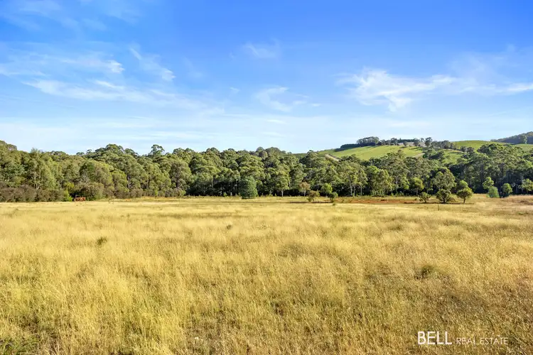 Fifth view of Homely house listing, 1555 Gembrook-Launching Place Road, Beenak VIC 3139