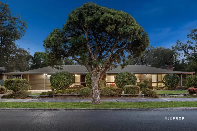 Main view of Homely house listing, 667 Dorset Road, Bayswater North VIC 3153