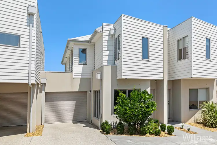 11 Basil Street