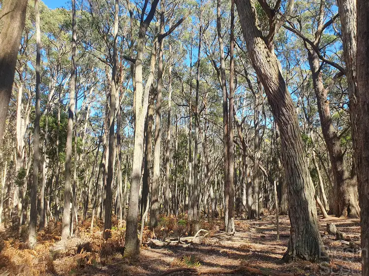 Second view of Homely land listing, 340 Long Swamp Road, Mollongghip VIC 3352