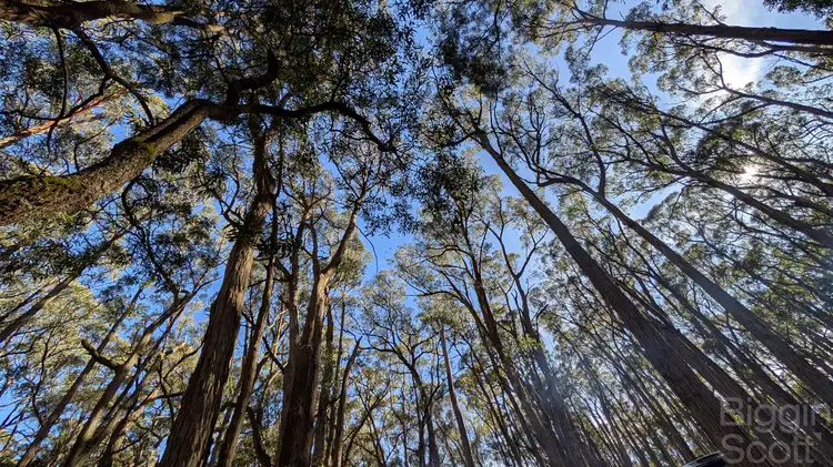 Fourth view of Homely land listing, 340 Long Swamp Road, Mollongghip VIC 3352