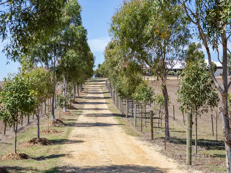 Fourth view of Homely rural property listing, 377 Vickerys Road, Bellbrae VIC 3228