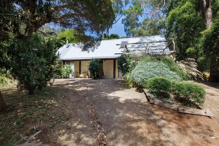 11 Frederick Street