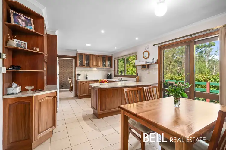 Fifth view of Homely house listing, 11 One Tree Hill Road, Ferny Creek VIC 3786