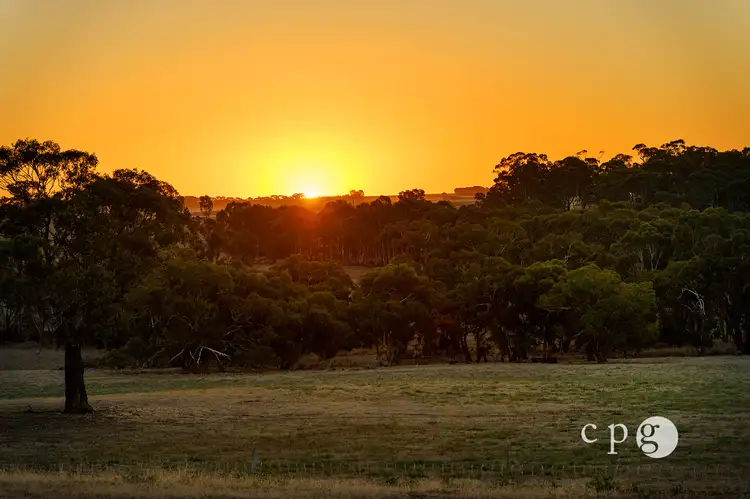221 Rodborough Road, Joyces Creek VIC 3364