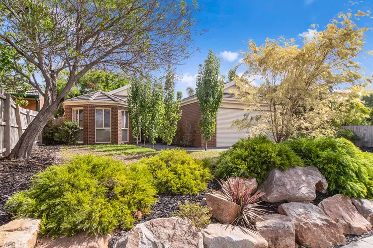 Main view of Homely house listing, 53 Potts Road, Langwarrin VIC 3910