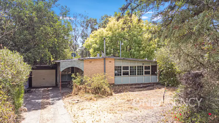 Third view of Homely house listing, 13 Portland Road, Elizabeth East SA 5112