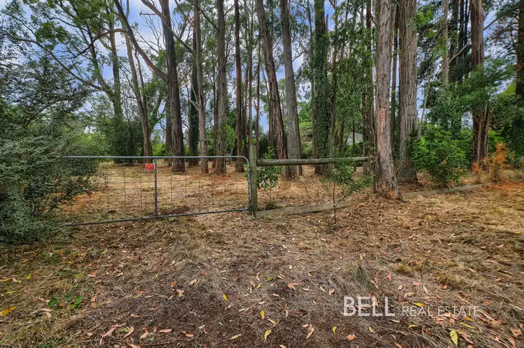 Main view of Homely land listing, 5 Mcnamara Road, Avonsleigh VIC 3782