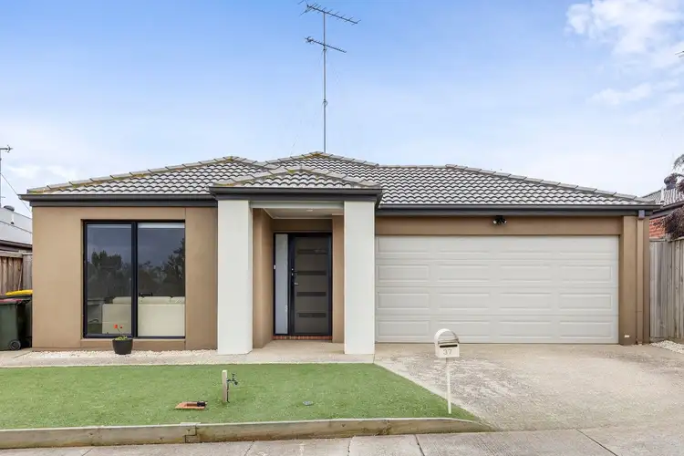 37 Treefern Street