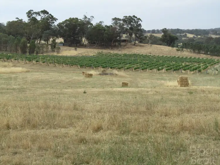 Sixth view of Homely land listing, 56 Pound Lane, Guildford VIC 3451