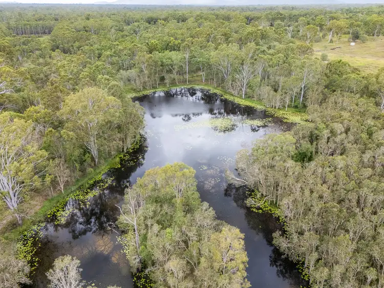 Fourth view of Homely rural property listing, 43820 Bruce Highway, Colosseum QLD 4677