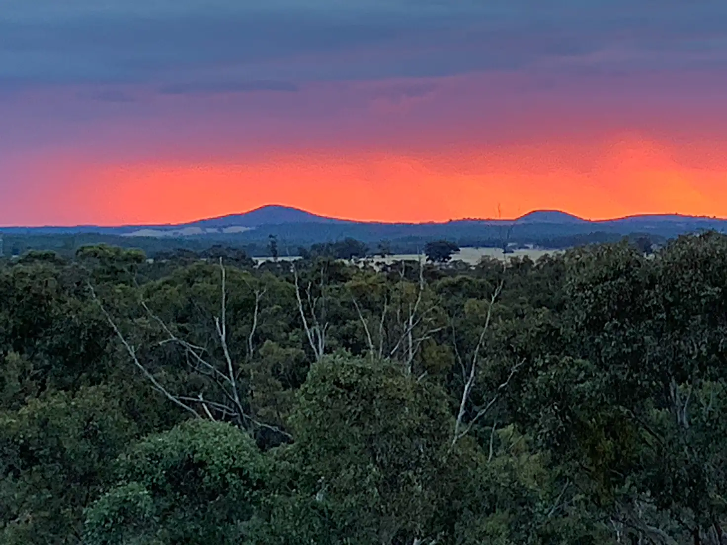 Main view of Homely house listing, 282 Blanket Gully Road, Campbells Creek VIC 3451
