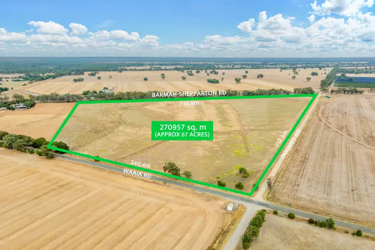 Main view of Homely rural property listing, 4191 Barmah Shepparton Road, Bunbartha VIC 3634