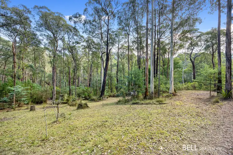 43 Fisherman Drive, Reefton VIC 3799