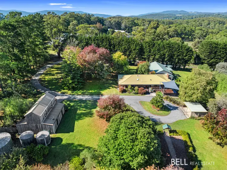 Main view of Homely house listing, 40 Falls Road, Hoddles Creek VIC 3139