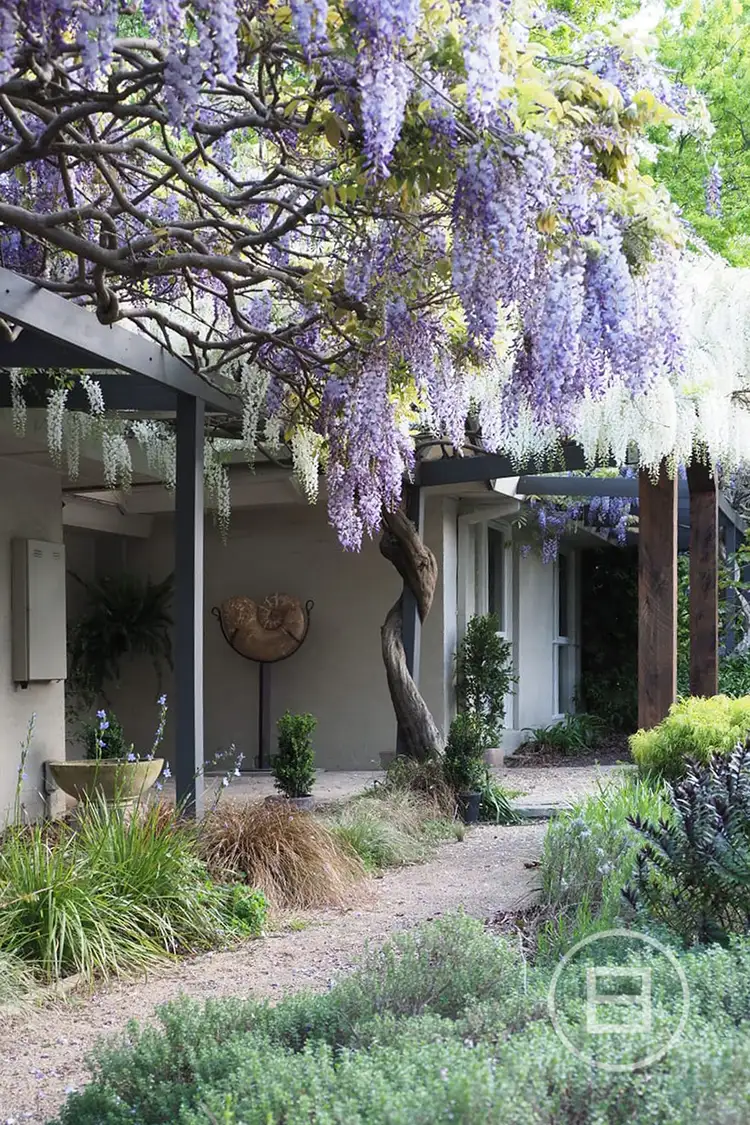 Fourth view of Homely rural property listing, 131 Jones Road, Somerville VIC 3912