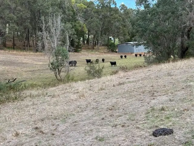 Third view of Homely rural property listing, Lot 1 Charley Creek Road, Thomson Brook WA 6239