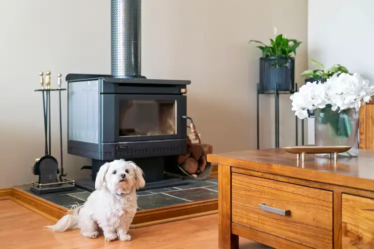 Third view of Homely house listing, 8 Cassinia Close, Delahey VIC 3037