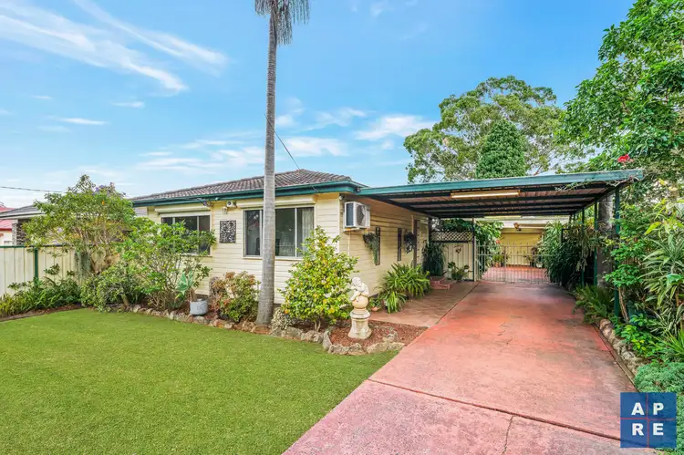 119 Campbell Street, Fairfield East NSW 2165