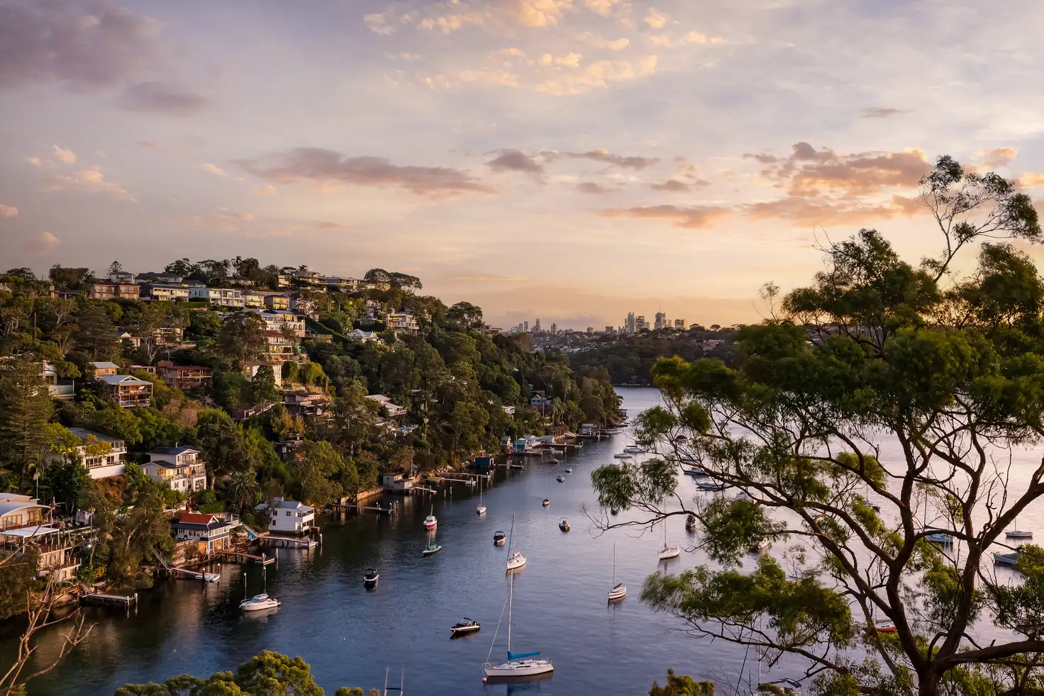 Main view of Homely house listing, 8 Abernethy Street, Seaforth NSW 2092