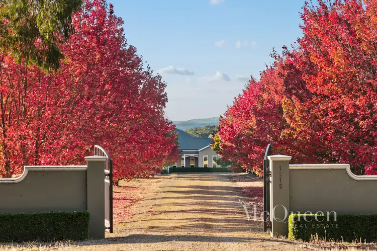 1215 Daylesford Malmsbury Road, Denver VIC 3461