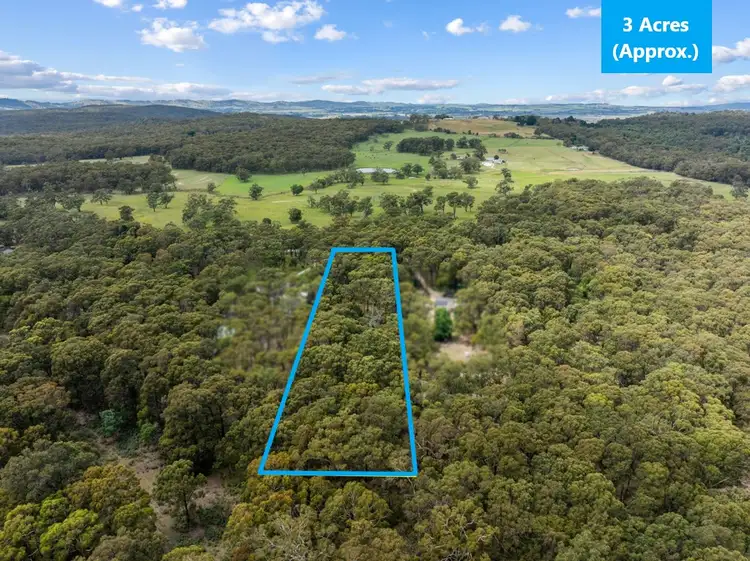 Main view of Homely land listing, 93 Feeneys Lane, Benloch VIC 3435