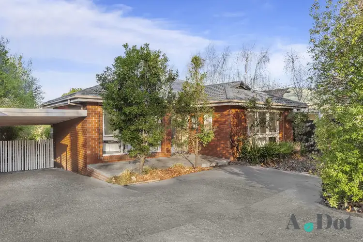 Third view of Homely house listing, 59 Haig Street, Box Hill South VIC 3128