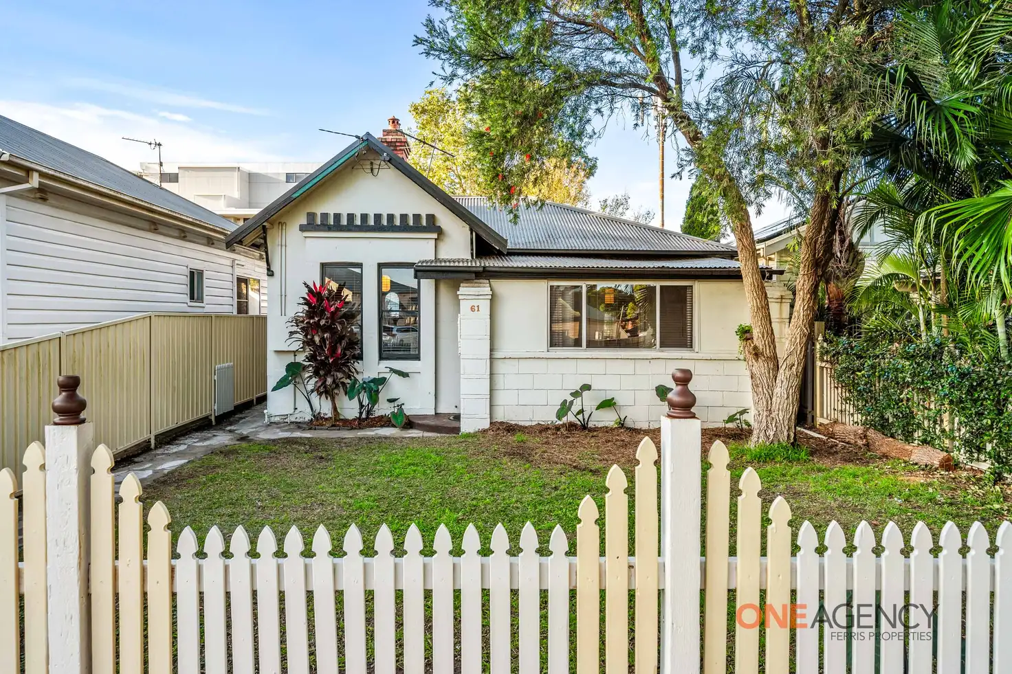 Main view of Homely house listing, 61 Waratah Street, Mayfield NSW 2304