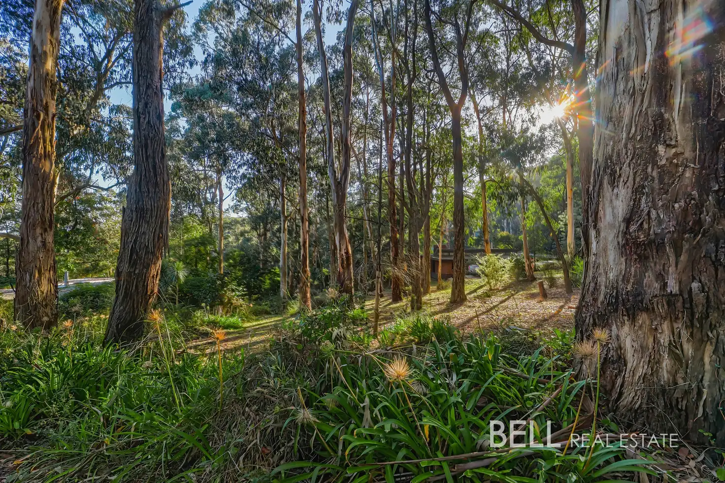 Main view of Homely land listing, 62 Kilvington Drive, Emerald VIC 3782