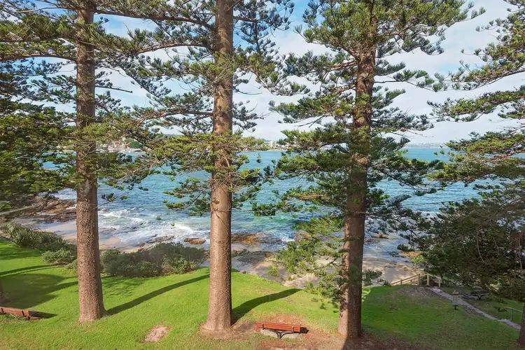 3/49 The Crescent, Manly NSW 2095
