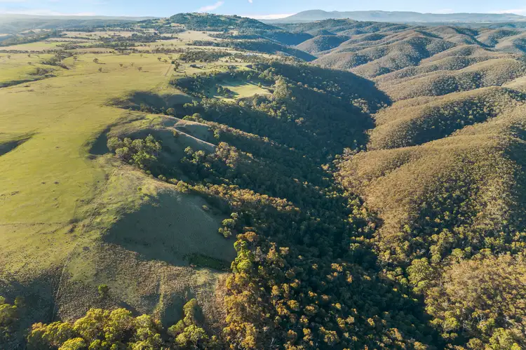 Seventh view of Homely land listing, CA 22D & 22E Spotiswood Road, Bullengarook VIC 3437