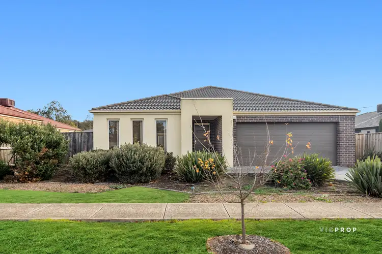 Main view of Homely house listing, 13 Hydrangea Drive, Point Cook VIC 3030
