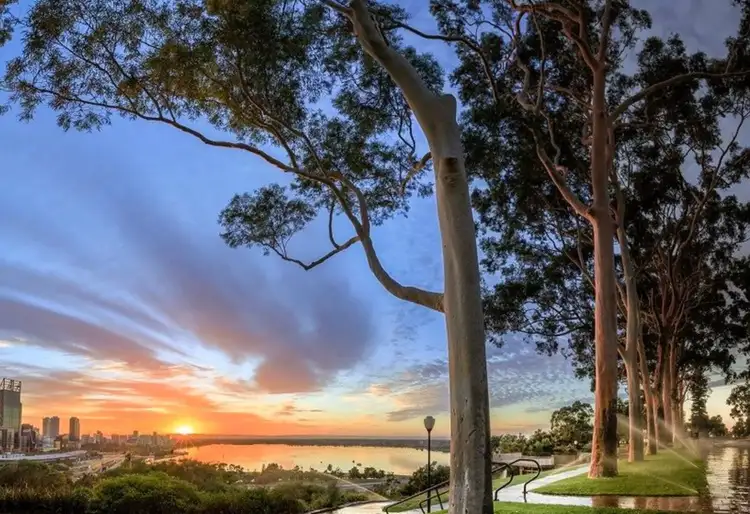 Third view of Homely apartment listing, 207/451 Murray Street, Perth WA 6000