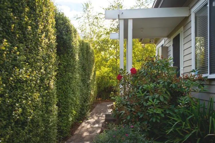 17 Stanbridge Street, Daylesford VIC 3460