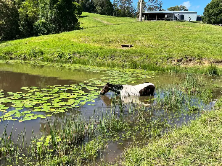 Lot 12 Cookes Road, Conondale QLD 4552