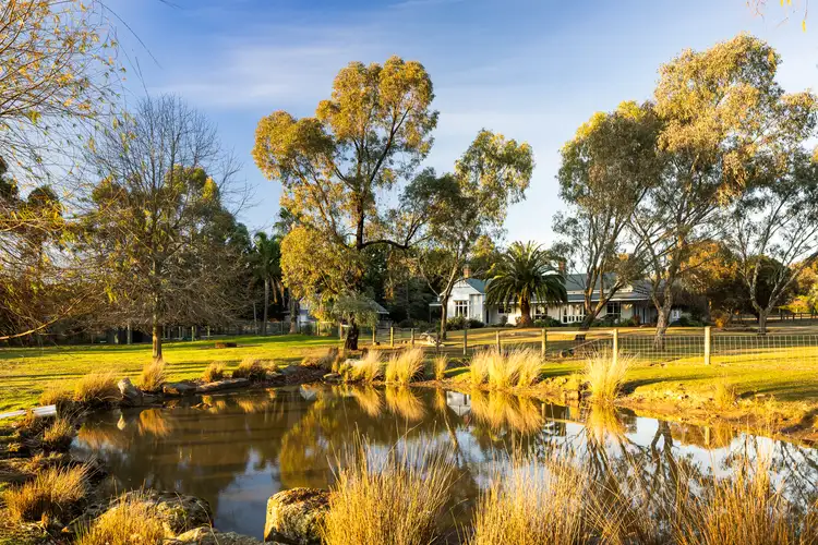 Main view of Homely house listing, 37 Youngs Road, Yarrambat VIC 3091