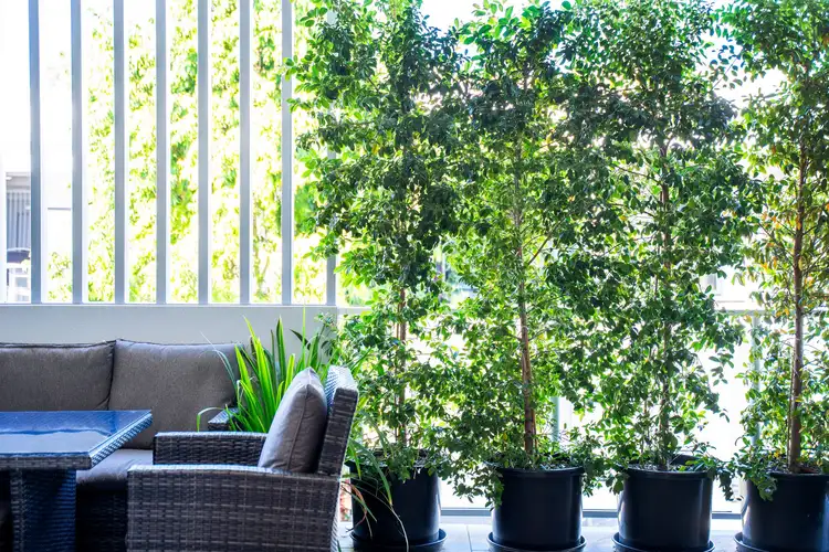 Second view of Homely unit listing, 10/10 Spring Street, Sippy Downs QLD 4556