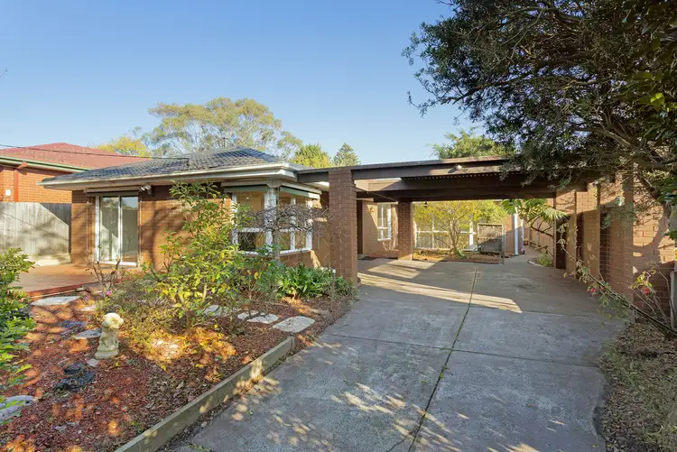 31 Nancy Street, Cheltenham VIC 3192
