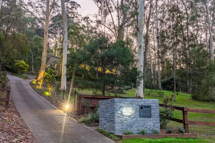 Main view of Homely house listing, 175 Sun Valley Road, Sun Valley NSW 2777