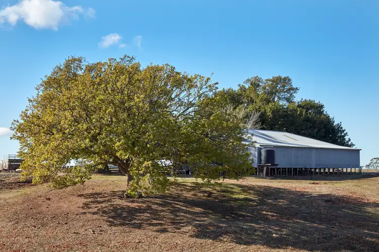 Sixth view of Homely rural property listing, 171 Ross Watt Road, Gisborne VIC 3437